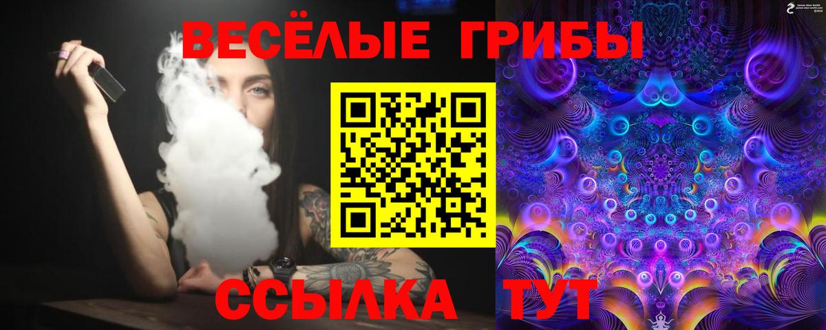 Псилоцибиновые грибы Psilocybe Баксан
